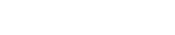 Nordik logo